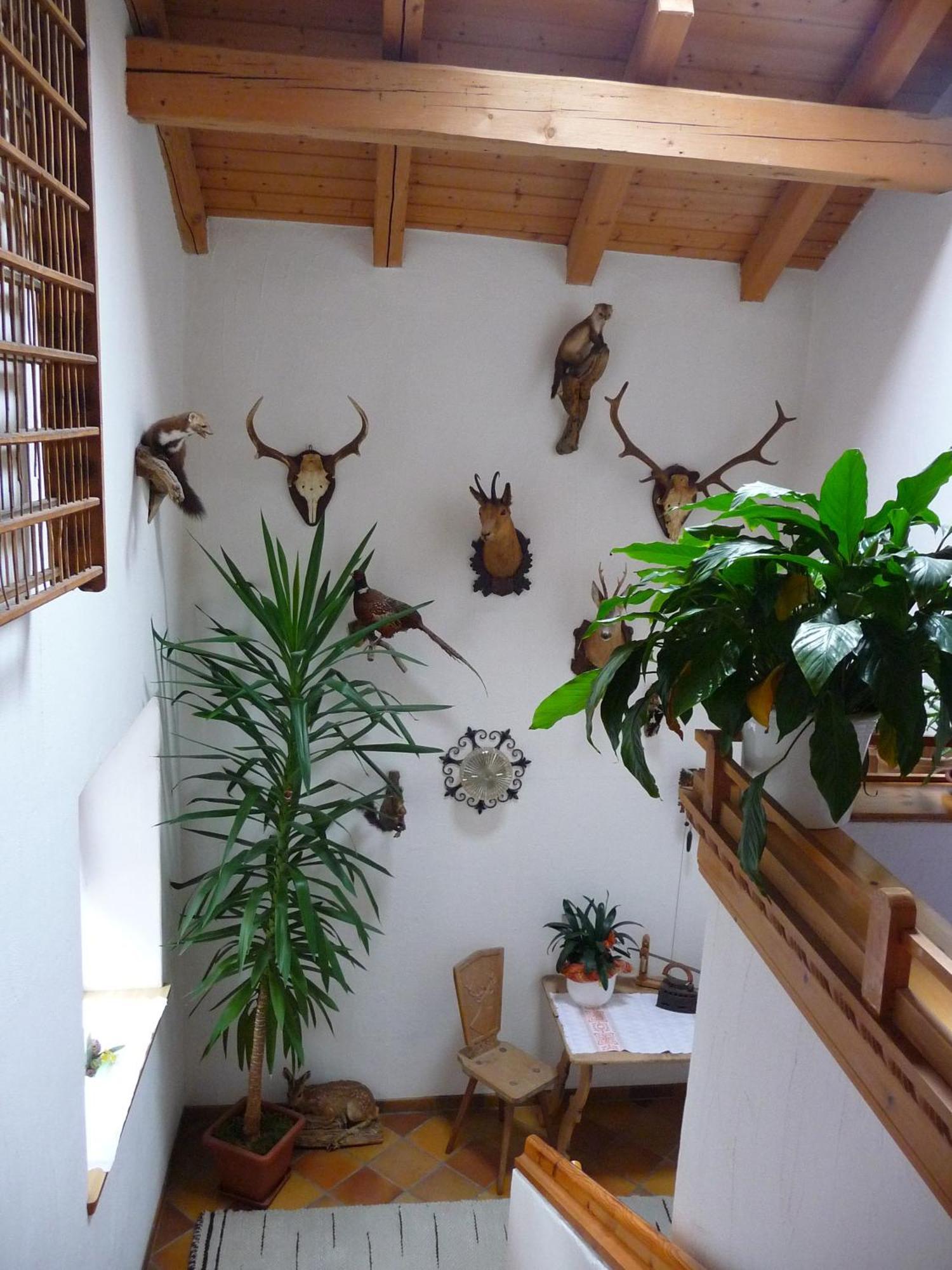 Gasthof Gemse Planol Kültér fotó